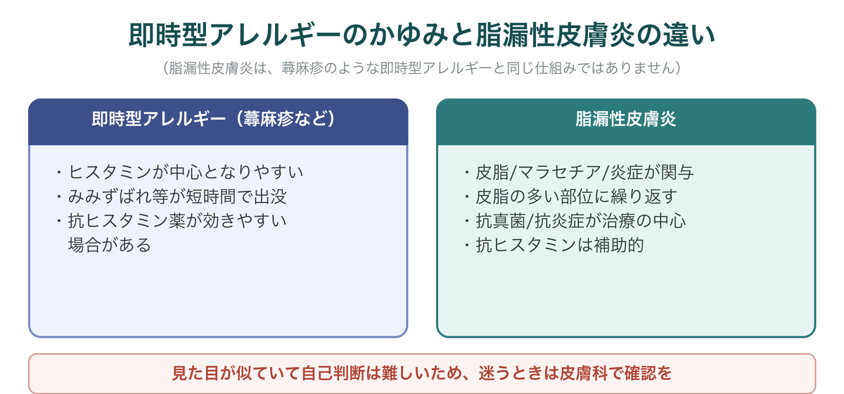 即時型アレルギーのかゆみと脂漏性皮膚炎の違いを示した図