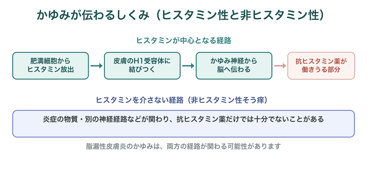 かゆみが伝わるヒスタミン性経路と非ヒスタミン性経路を示した図