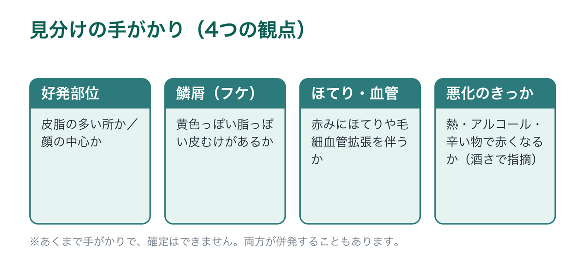酒さと脂漏性皮膚炎を見分ける4つの観点を示した図