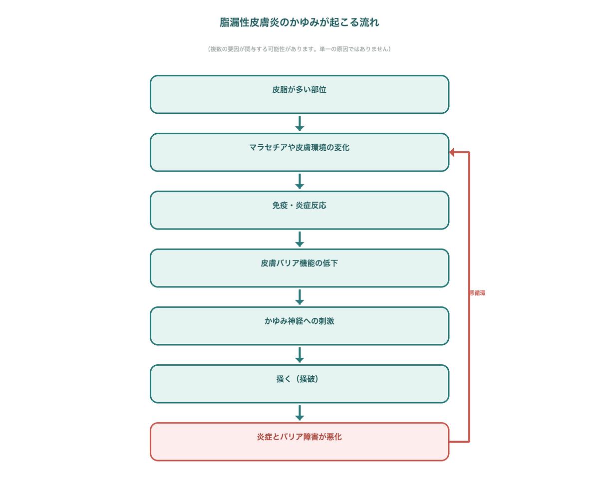 脂漏性皮膚炎でかゆみが起こる仕組みを示した図