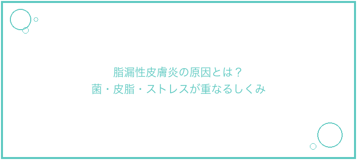 脂漏性皮膚炎の原因とは？菌・皮脂・ストレスが重なるしくみ